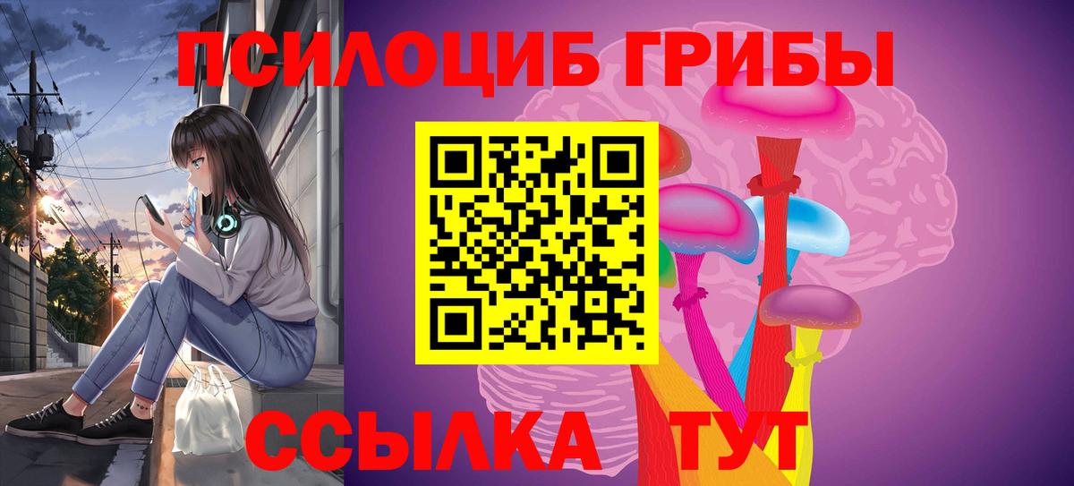 Псилоцибиновые грибы Cubensis Старая Купавна